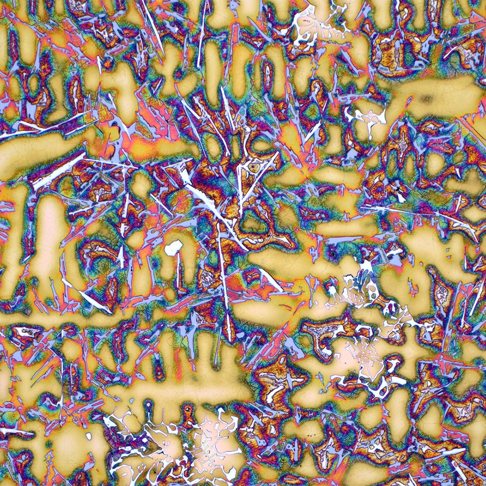 The August 2024 #Buehler #microstructure Calendar Winner is from Ondrej Ambroz: Institute of Scientific Instruments, Czech Academy of Sciences, Czech Republic.