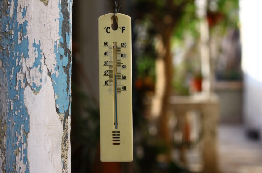 COOLTORISE (@cooltorise) on Twitter photo The past heat wave was up to 3°C warmer due to human influence
Read more: tinyurl.com/bdfych6a
#summer #energy #poverty #climate #change #heatwaves #effective #energy #efficiency #air #quality
<a href="/La_UPM/">Universidad Politécnica de Madrid</a> <a href="/Ecoserveis/">Associació Ecoserveis Cultura Energètica</a> <a href="/abd_ong/">ABD</a> <a href="/ComuneParma/">Città di Parma</a> <a href="/AISFORSrl/">AISFOR</a> <a href="/vilabs_eu/">Vilabs.eu</a> <a href="/Associatio78992/">Association CSEG</a> The past heat wave was up to 3°C warmer due to human influence
Read more: tinyurl.com/bdfych6a
#summer #energy #poverty #climate #change #heatwaves #effective #energy #efficiency #air #quality
<a href="/La_UPM/">Universidad Politécnica de Madrid</a> <a href="/Ecoserveis/">Associació Ecoserveis Cultura Energètica</a> <a href="/abd_ong/">ABD</a> <a href="/ComuneParma/">Città di Parma</a> <a href="/AISFORSrl/">AISFOR</a> <a href="/vilabs_eu/">Vilabs.eu</a> <a href="/Associatio78992/">Association CSEG</a>