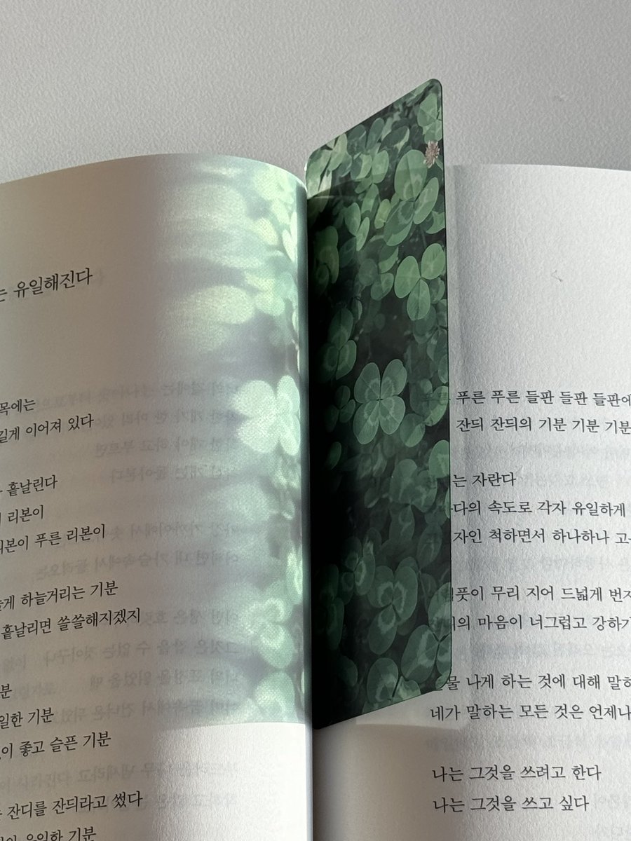 빛을 투영하고 새겨지는 초록