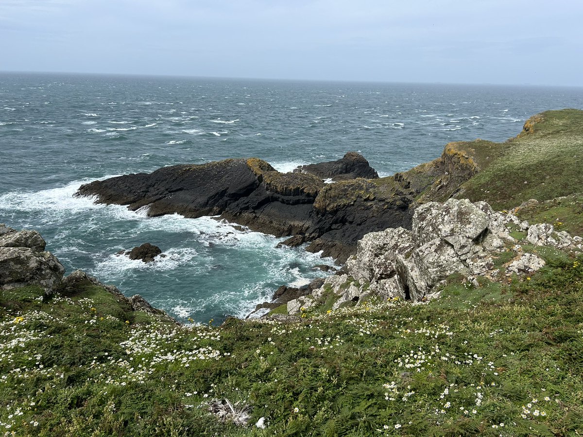 Julia Casperd tweet media