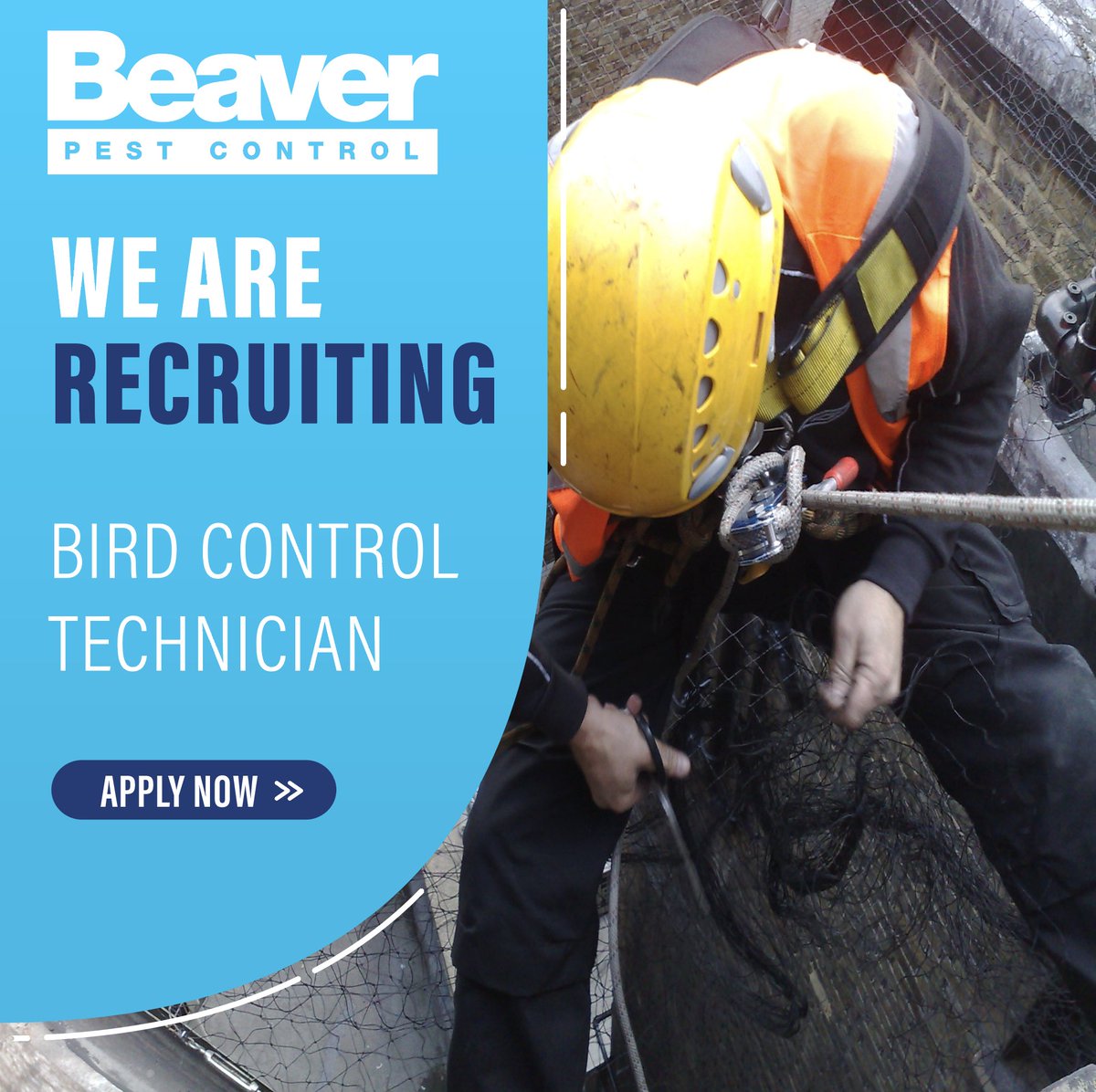 Beaver Pest Control tweet media