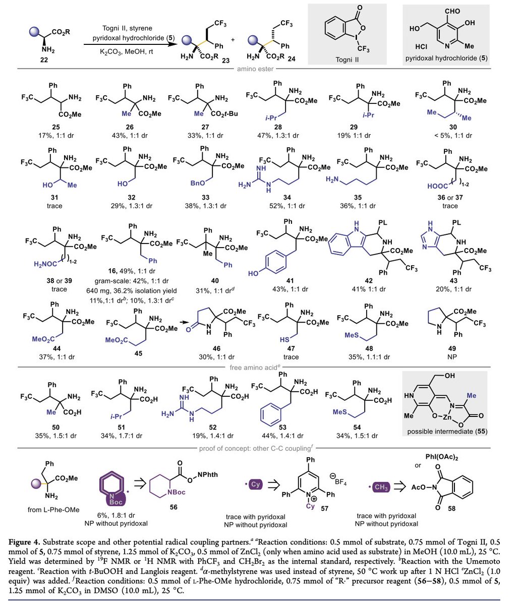 Enzyme Chemistry (@enzymechemistry) on Twitter photo Nature-Inspired Radical Pyridoxal-Mediated C–C Bond Formation by by Ye Wang, Soumik Das, Kareem Aboulhosn, Sarah Champagne, <a href="/ChemGemm/">Philipp Gemmel</a>, Kevin Skinner, Stephen Ragsdale, Paul Zimmerman, and Alison Narayan <a href="/NarayanLab/">Narayan Lab @ UMich</a> <a href="/MichiganChem/">Michigan Chemistry</a> in <a href="/J_A_C_S/">J. Am. Chem. Soc.</a> pubs.acs.org/doi/10.1021/ja… Nature-Inspired Radical Pyridoxal-Mediated C–C Bond Formation by by Ye Wang, Soumik Das, Kareem Aboulhosn, Sarah Champagne, <a href="/ChemGemm/">Philipp Gemmel</a>, Kevin Skinner, Stephen Ragsdale, Paul Zimmerman, and Alison Narayan <a href="/NarayanLab/">Narayan Lab @ UMich</a> <a href="/MichiganChem/">Michigan Chemistry</a> in <a href="/J_A_C_S/">J. Am. Chem. Soc.</a> pubs.acs.org/doi/10.1021/ja…