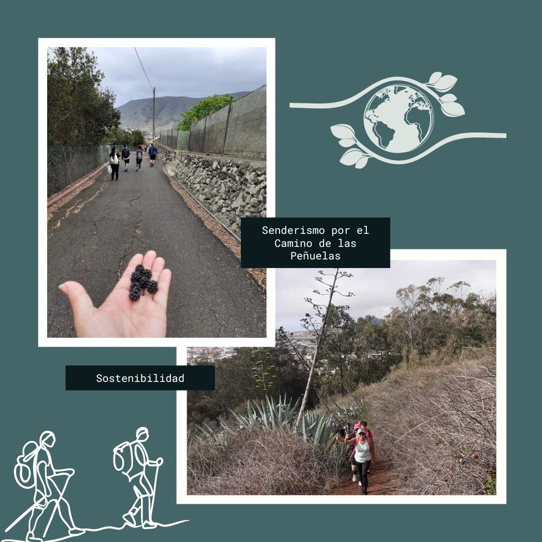 Fundación Ataretaco tweet media