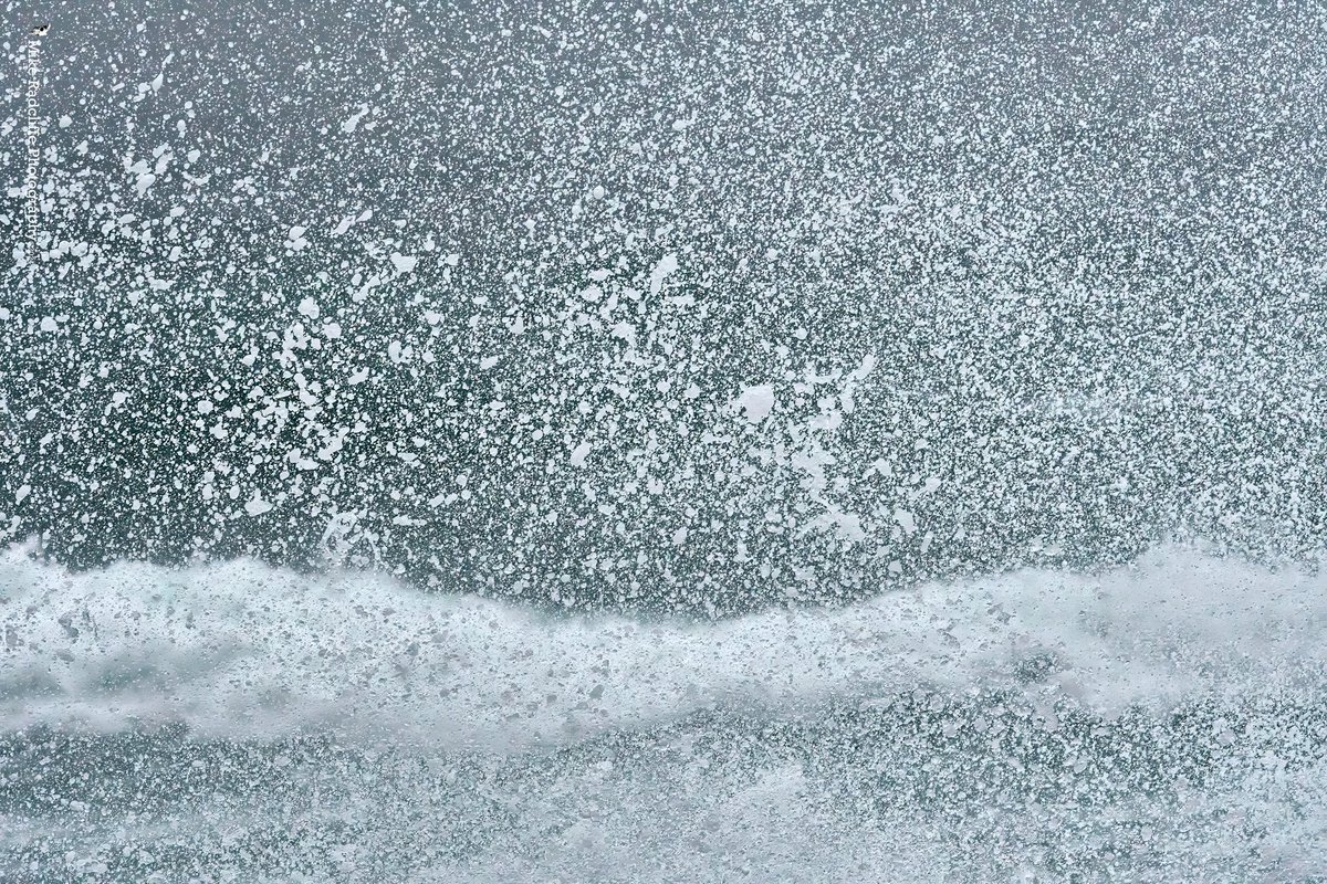 Mike Radcliffe Photography tweet media