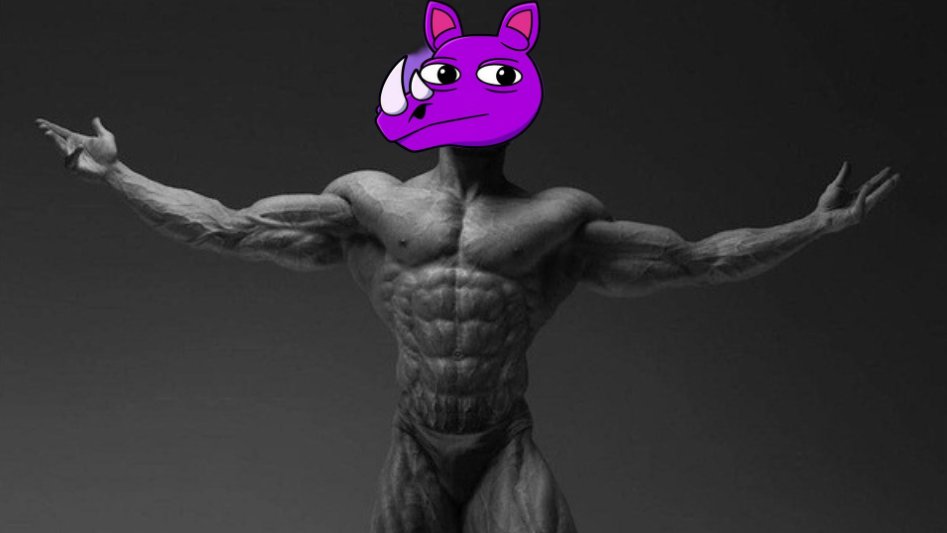 AsakuraNFT's tweet photo. @rhino_cto No doubts https://t.co/5CWbFKCaoe