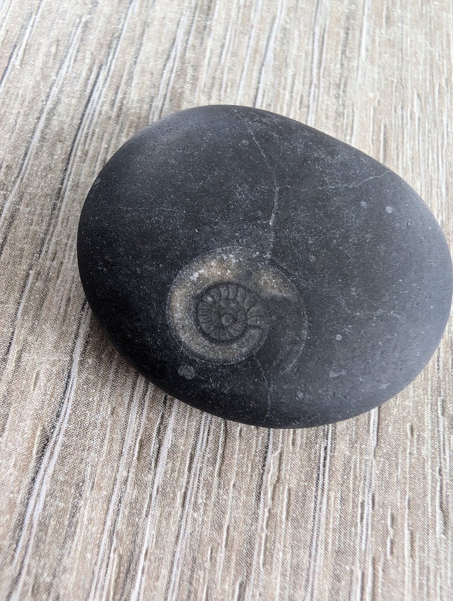 Tracy Goodyear FCCT FRSA tweet media