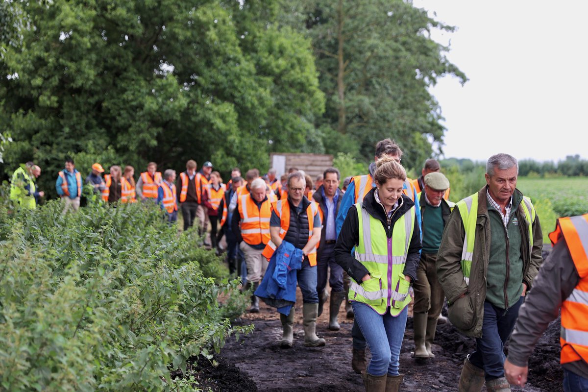 Fenland SOIL tweet media