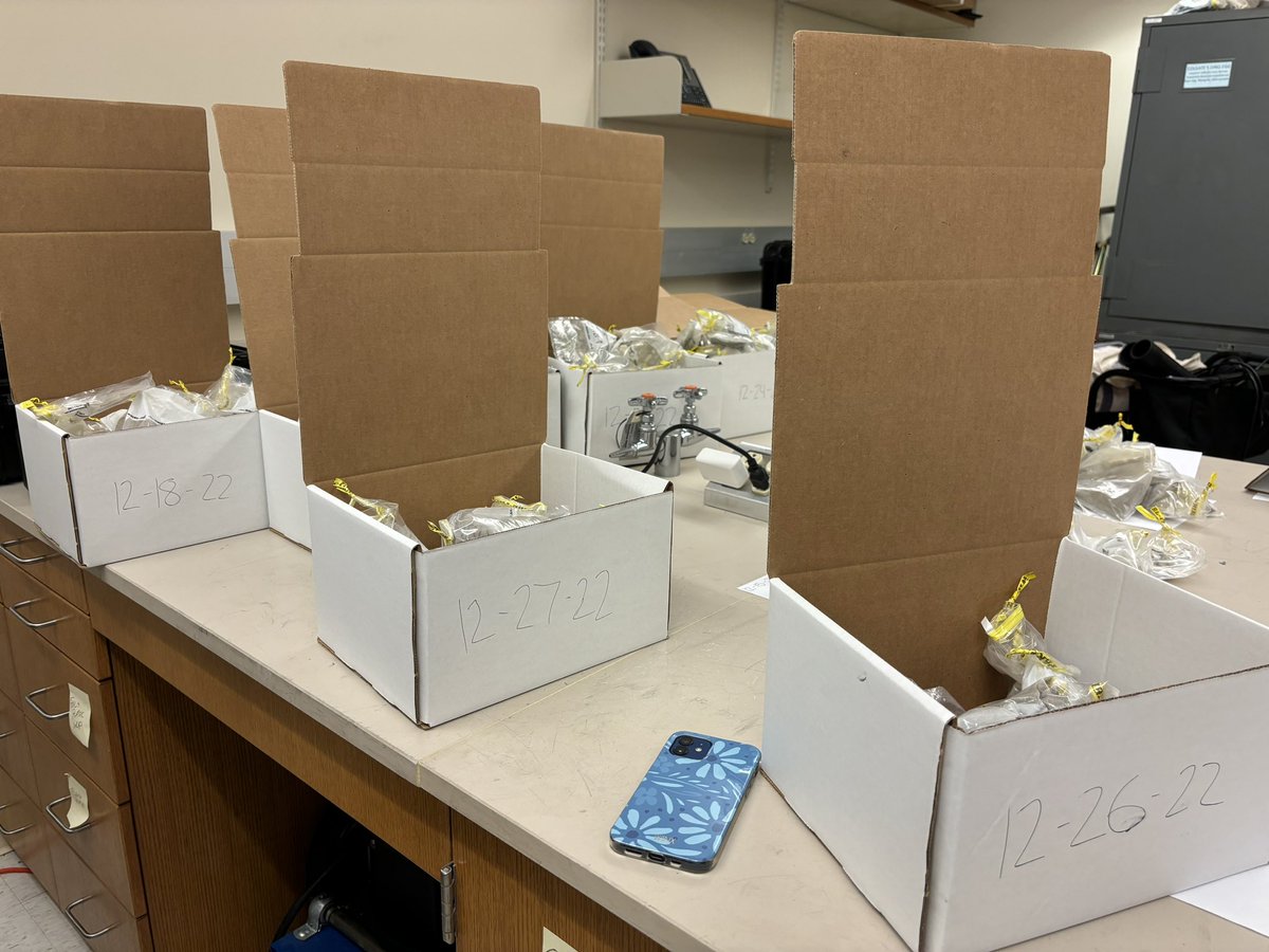 Joe Levy tweet media