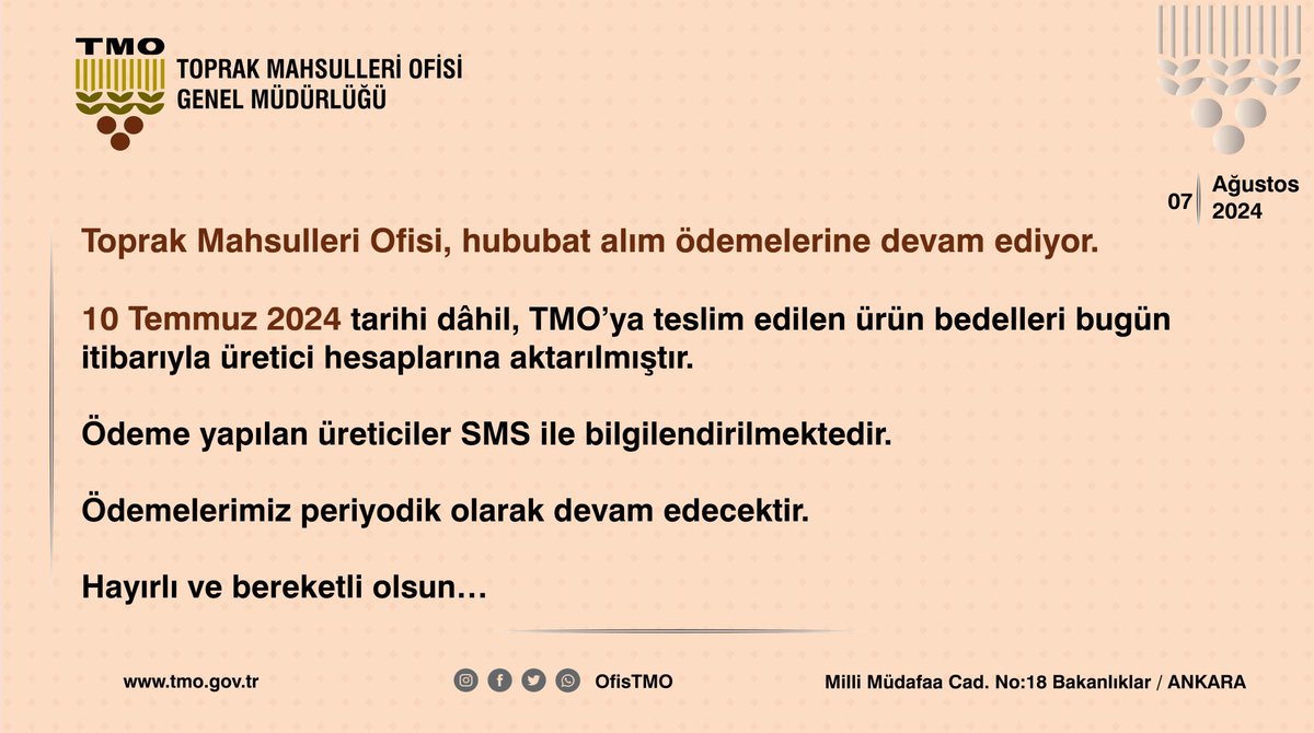 OfisTMO's tweet photo. https://t.co/SVe0RoxvCS