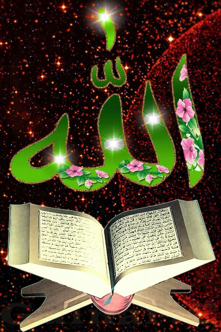 🄵🄾🄻🄻🄾🅆
#P_PTi
🅰️ 07
<a href="/00munsif/">#𝐏_𝐏𝐓𝐢 🔄 𝐌𝐮𝐧𝐬𝐢𝐟 𝐀𝐥𝐢</a> <a href="/MKPK1/">𝗣𝗧𝗶 𝗧𝗔𝗞𝗘𝗥 #𝙋_𝙋𝙏𝙞 𝙏𝙚𝙖𝙢 𝙊𝙬𝙣𝙚𝙧</a>
<a href="/As_t40/">𝐀 𝐒𝐚𝐭𝐭𝐚𝐫</a> <a href="/P_PTi4/">Nosheen Aurangzaib</a>
@NM_1k <a href="/Ik1N1/">𝐍𝐀𝐙𝐈𝐌.𝐀𝐋𝐈</a>
<a href="/4_4mir/">Aamir Hayat Awan</a>
<a href="/1tttiR/">v!</a>
<a href="/Ik1Z1/">Zonaisha Rani 4</a>
<a href="/Asjk2/">Muhammad Junaid Anwar</a>
@Ik1RN
<a href="/Ik804_/">SNAP STAR</a>
<a href="/S_PTi3/">Salamat Animation Land</a>
<a href="/Y22NY/">YASEEN</a>
<a href="/Noor1z_/">محترمہ👤</a>
<a href="/nbea_h/">#𝕾𝖚𝖕𝖊𝖗𝕱𝖗𝖎𝖊𝖓𝖉𝖘 #𝕿𝖔𝖕𝕱𝖗𝖎𝖊𝖓𝖉𝖘</a>
<a href="/shz787/">🌟⭐️🌟🌟sʜᴀʜᴢᴀᴅ ᴍᴜɴɪʀ🌟⭐️🌟⭐️</a>
<a href="/R1_Adv/">Ridwan R1🇮🇩</a>
<a href="/zimal293/">🦋𝐑ᴀsʜɪᴅᴀʜ🦋</a>
<a href="/zubm9231/">ZUBAIR Muhammad</a>
@shahzain_04
<a href="/FahimAsad13/">Fahim Asad</a>
<a href="/CarloSportfan/">SportISmyLIFE ⚽⚾🏀🏐🏈🎾🎳🏏🏓⛳</a>
<a href="/Imranrana7181/">Rana Imran</a>
<a href="/Dni_40/">Daniyal</a> <a href="/1adann/">🅲🅷,🅰🅳🅽🅰🅽</a>
<a href="/Areeej721/">Areej syed ᴾᴬᴷᴿⁱˢⁱⁿᵍ</a> <a href="/Qrt804/">qurat</a>