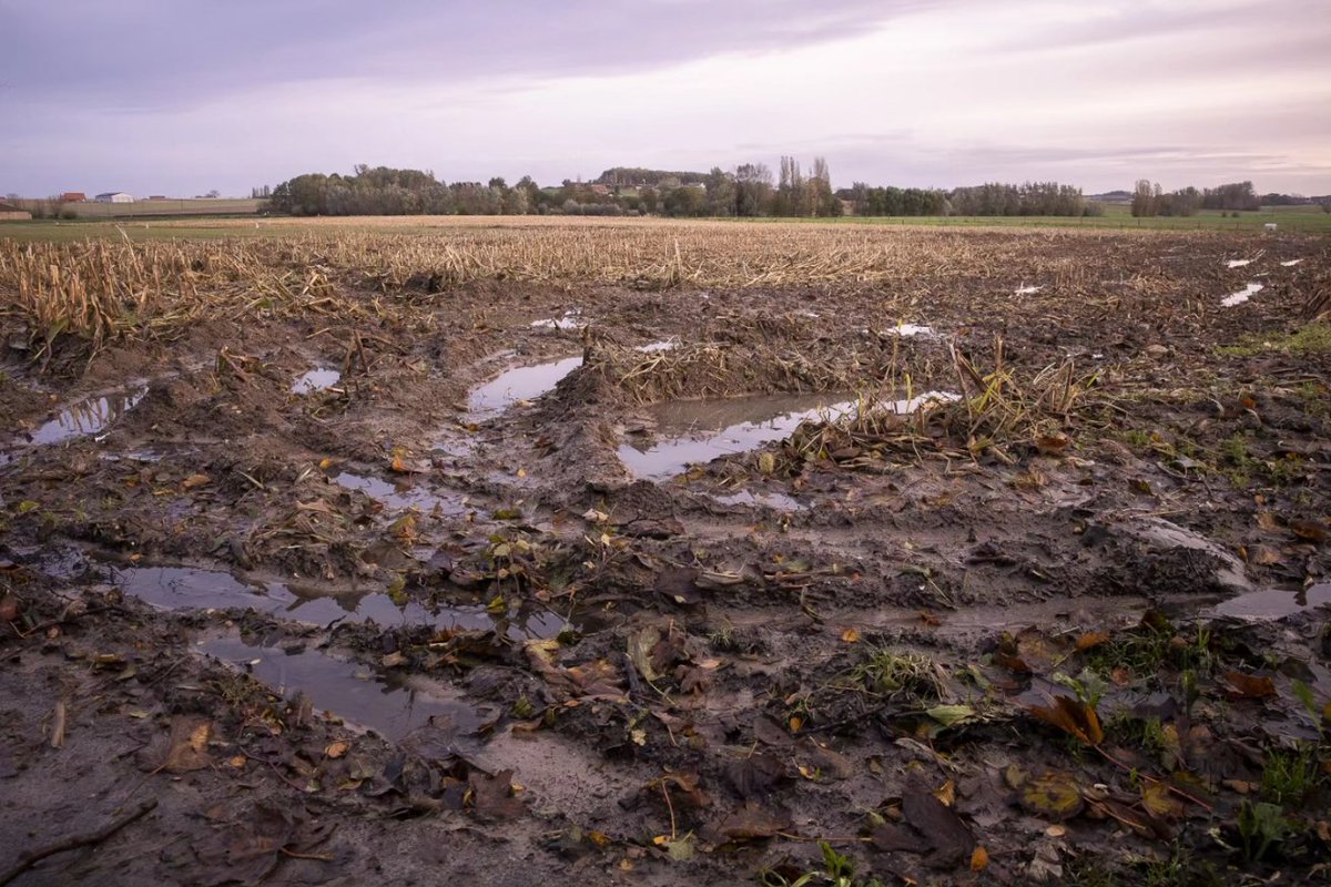 history_hand's tweet image. My latest video walking the Battle of Passchendaele is live on YouTube now. Link is below #passchendaele #ww1 #ypres #thegreatwar

youtu.be/LrJKQfexREU