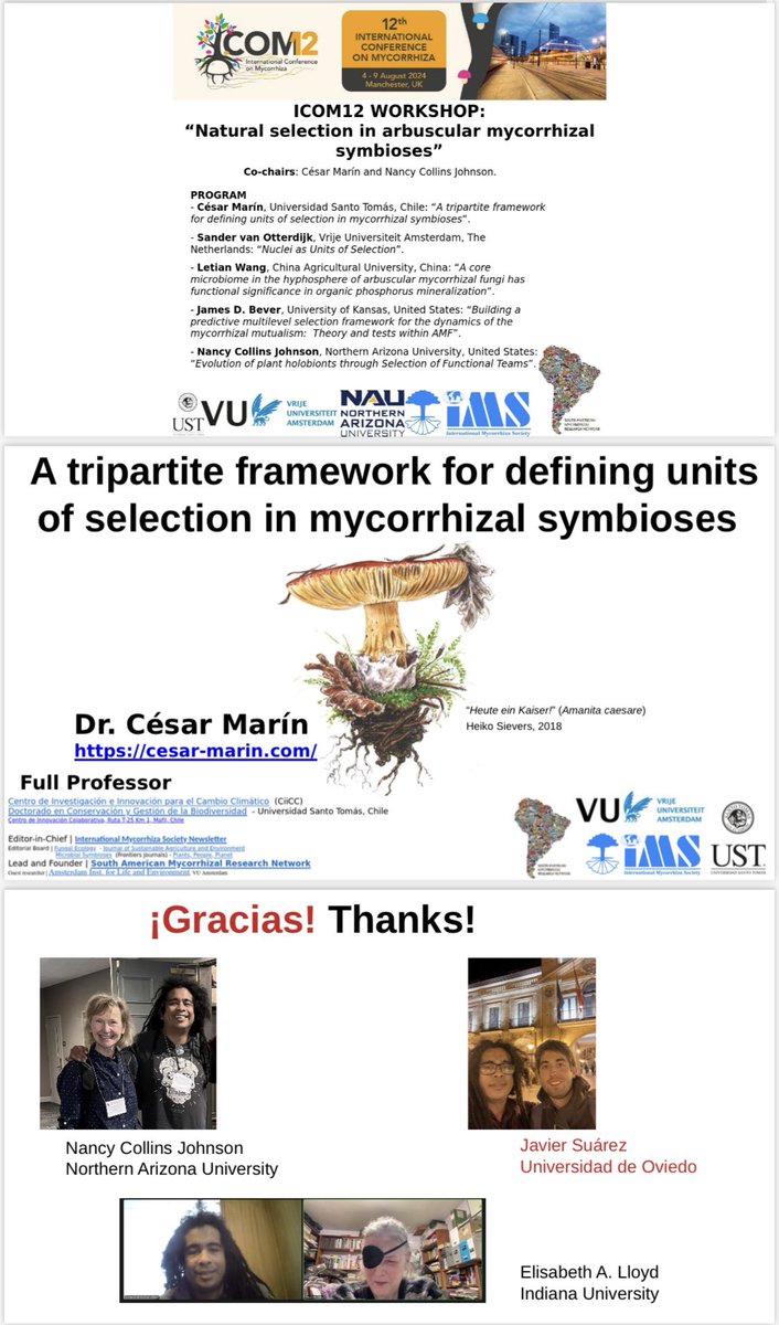 Dr. CĂ©sar MarĂn (@cesarmarin203) on Twitter photo Donât miss tomorrow our workshop âNatural selection in mycorrhizal symbiosesâ at <a href="/ICOM_12/">12th International Conference on Mycorrhiza 2024</a> #ICOM12 <a href="/mycorrhiza_ims/">International Mycorrhiza Society</a> Hall C, 16:00-17:30. It includes me, <a href="/OtterdijkSander/">Sander van Otterdijk</a> (@Kokkoris_Vas lab), #LetianWang (Gu Fengâs lab), #JimBever (lead of <a href="/FungiInvam/">INVAM</a>), & #NancyCollinsJohnson Donât miss tomorrow our workshop âNatural selection in mycorrhizal symbiosesâ at <a href="/ICOM_12/">12th International Conference on Mycorrhiza 2024</a> #ICOM12 <a href="/mycorrhiza_ims/">International Mycorrhiza Society</a> Hall C, 16:00-17:30. It includes me, <a href="/OtterdijkSander/">Sander van Otterdijk</a> (@Kokkoris_Vas lab), #LetianWang (Gu Fengâs lab), #JimBever (lead of <a href="/FungiInvam/">INVAM</a>), & #NancyCollinsJohnson