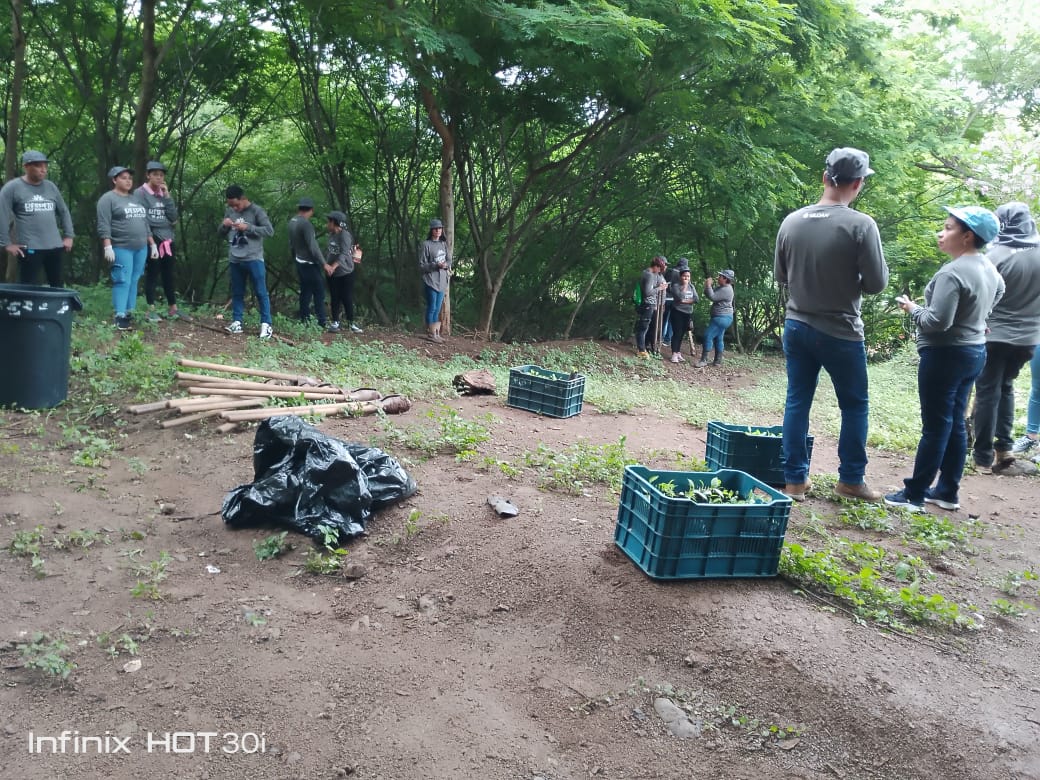 MarenaNicaragua's tweet photo. En el marco de la campaña nacional “Verde, que te quiero verde”, realizamos jornada de reforestación en coordinación con Gildan y el #INAFOR, en la propiedad del Cro. Ernesto López, habitante de la comunidad El Coyol, en el municipio de Tola, Rivas.
#VerdeQueTeQuieroVerde https://t.co/53NjtFsumB