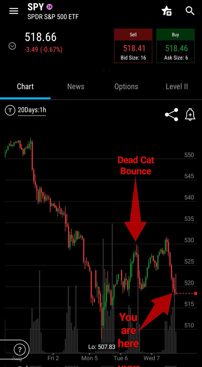 Redpill_Pusher's tweet photo. Wait, where did yesterday's gains go?  Where is this recovery we have been hearing about? 

Why is the market going down again?

You mean this is a Dead Cat Bounce?

@realDonaldTrump used the Q drops to warn us.

#Learnthecomms https://t.co/5jBubfediC