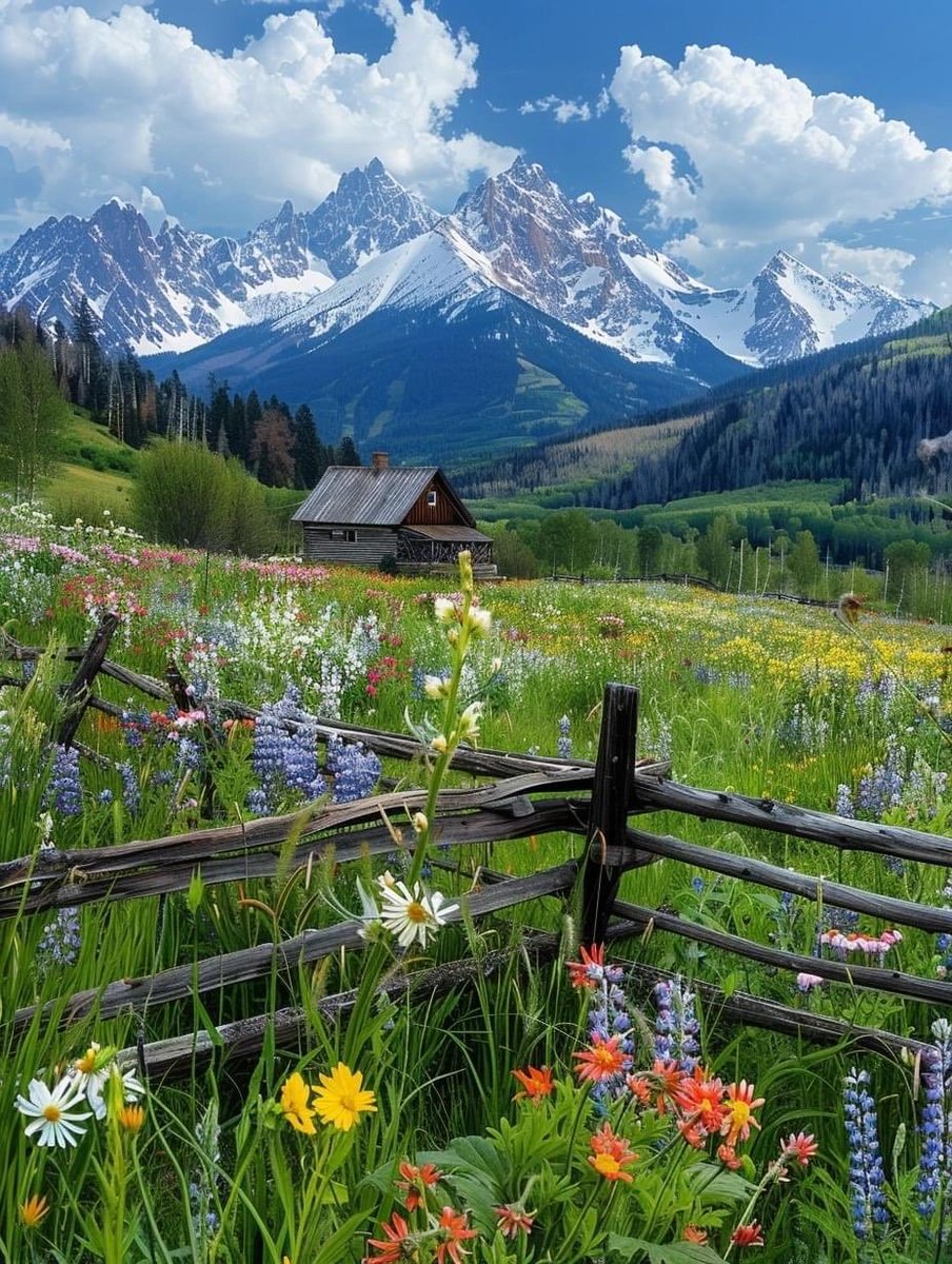 LeanzyN30570's tweet image. I want to travel at Texas but I don't have people that's I know in there😒 🥰😘Who can talk with me please comment