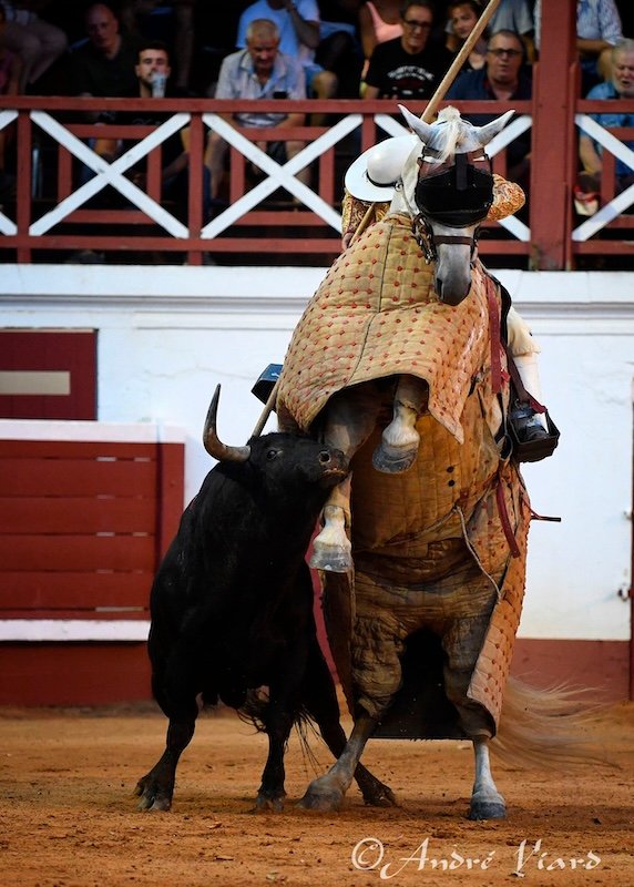 SolalCalmet's tweet image. Villeneuve-de-Marsan, entrega y emoción.

¡Gracias por el cariño recibido!