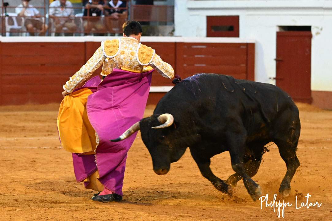 SolalCalmet's tweet image. Villeneuve-de-Marsan, entrega y emoción.

¡Gracias por el cariño recibido!