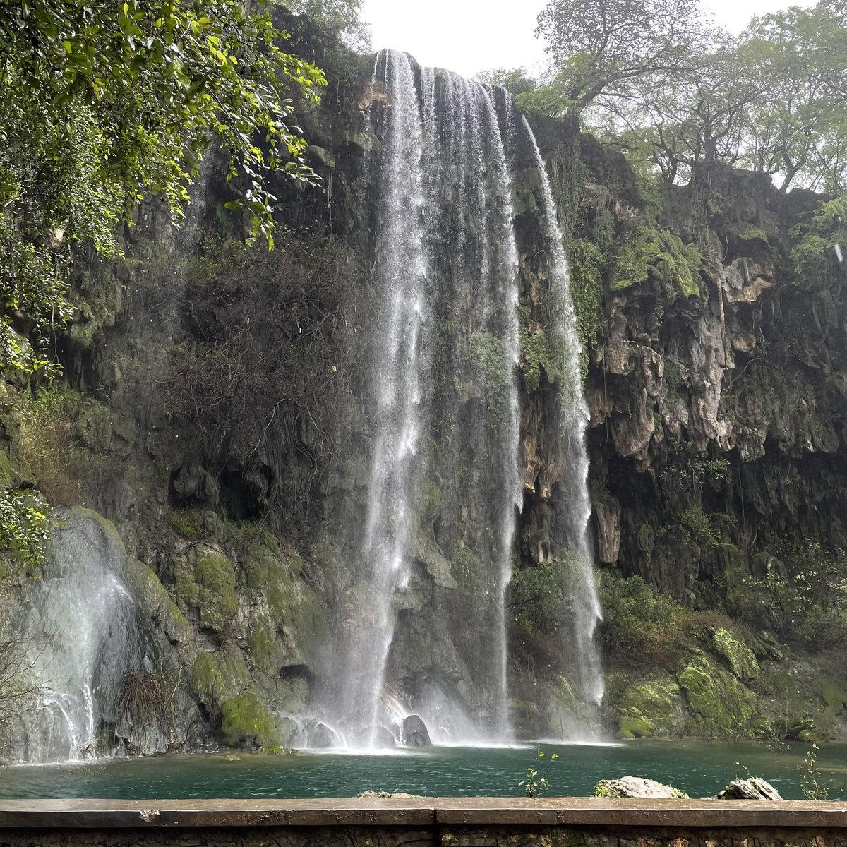 il9xe's tweet photo. عشوائيات دافئه جداً جداً 🌿 https://t.co/VYOBuFlSDA