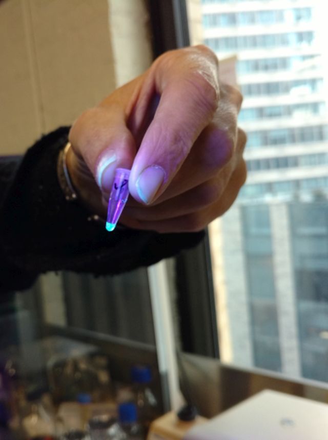 Biotech without Borders 🧬 tweet media