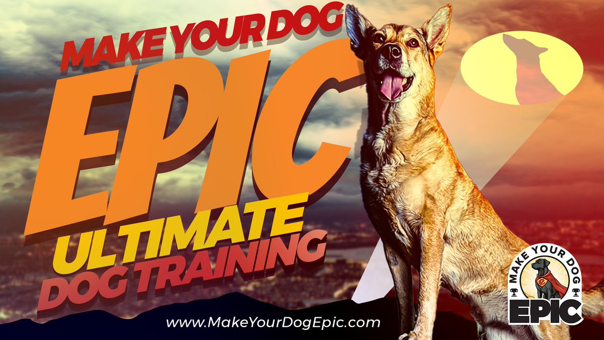 TheClayClark's tweet image. Dog Training Franchise | What to Own Your Own Business? What Is the First Step You Must Take to Open a MakeYourDogEpic.com Franchise?

Dog Training Franchise | What Is the First Step You Must Take to Open a MakeYourDogEpic Franchise?

#DogTrainingFranchise
#dogtrainer