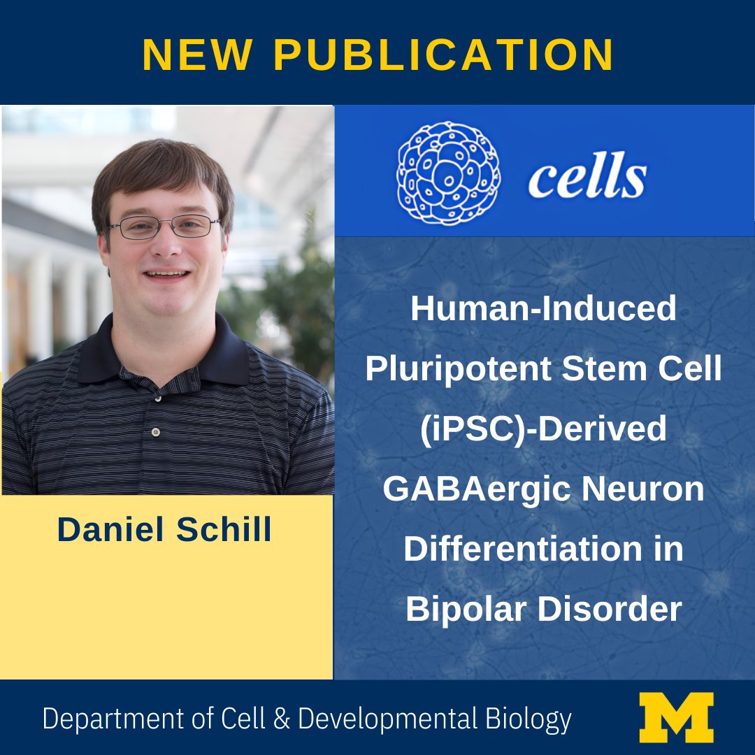 UMCDB's tweet image. New Publication by Daniel Schill @DrDadPoker (O'Shea Lab) Featured on the Cover of Cells: Human-Induced Pluripotent Stem Cell (iPSC)-Derived GABAergic Neuron Differentiation in Bipolar Disorder.

michmed.org/jW4mJ

#Research #StemCells #JournalArticle