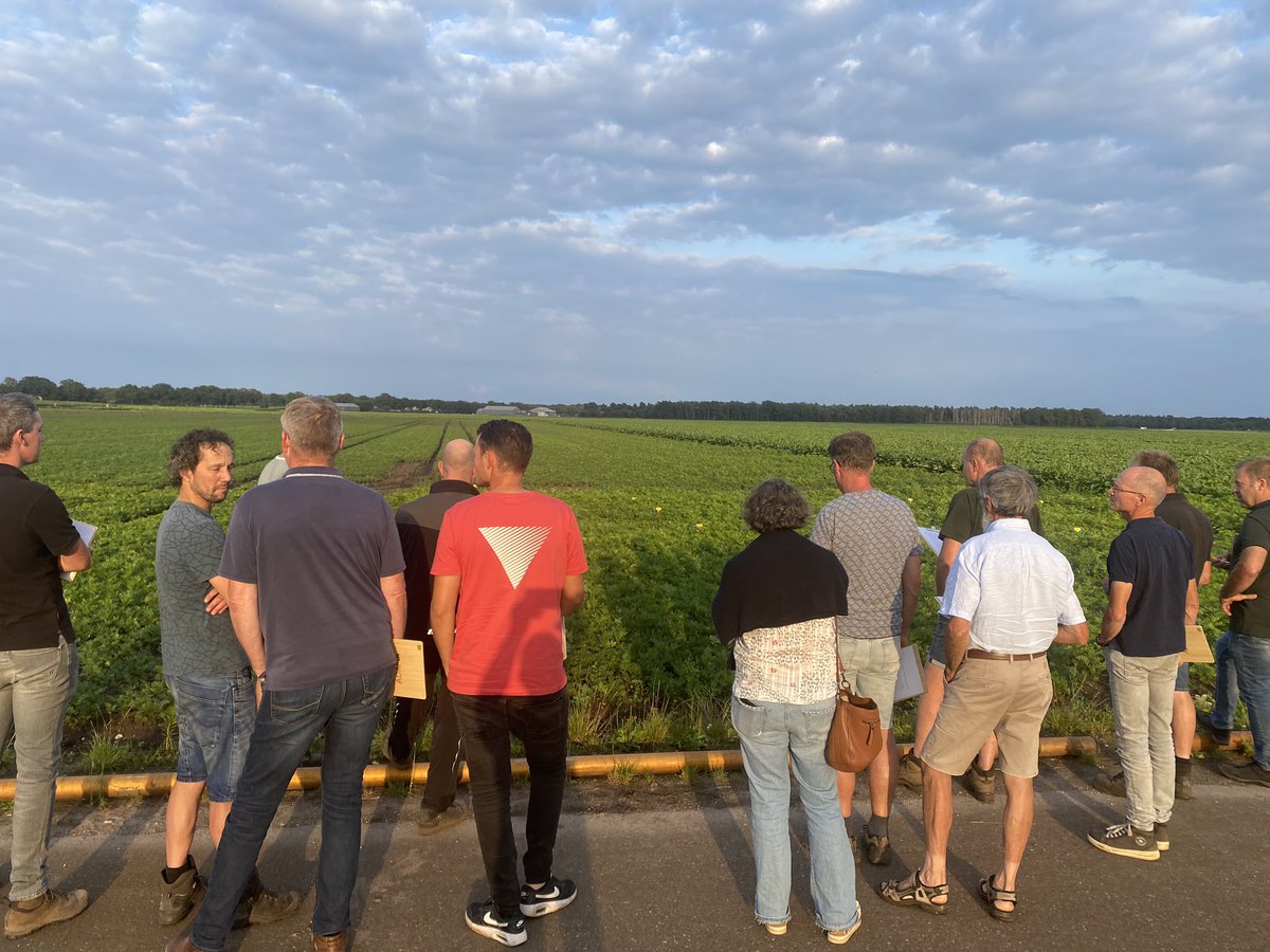 HansPijpers2's tweet photo. Geslaagde bijeenkomst bij Frank Coenders met een proefbezoek aan de Tagetesteelt met diverse herbiciden objecten @Adama_NE https://t.co/BSI3C7qZlh