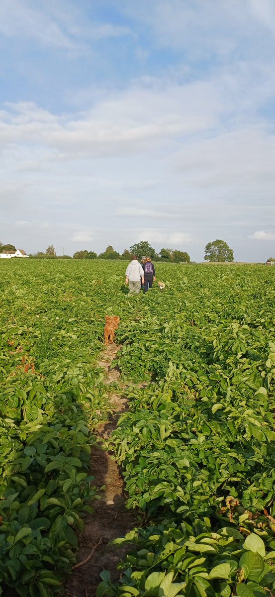 Jenny Osborne tweet media