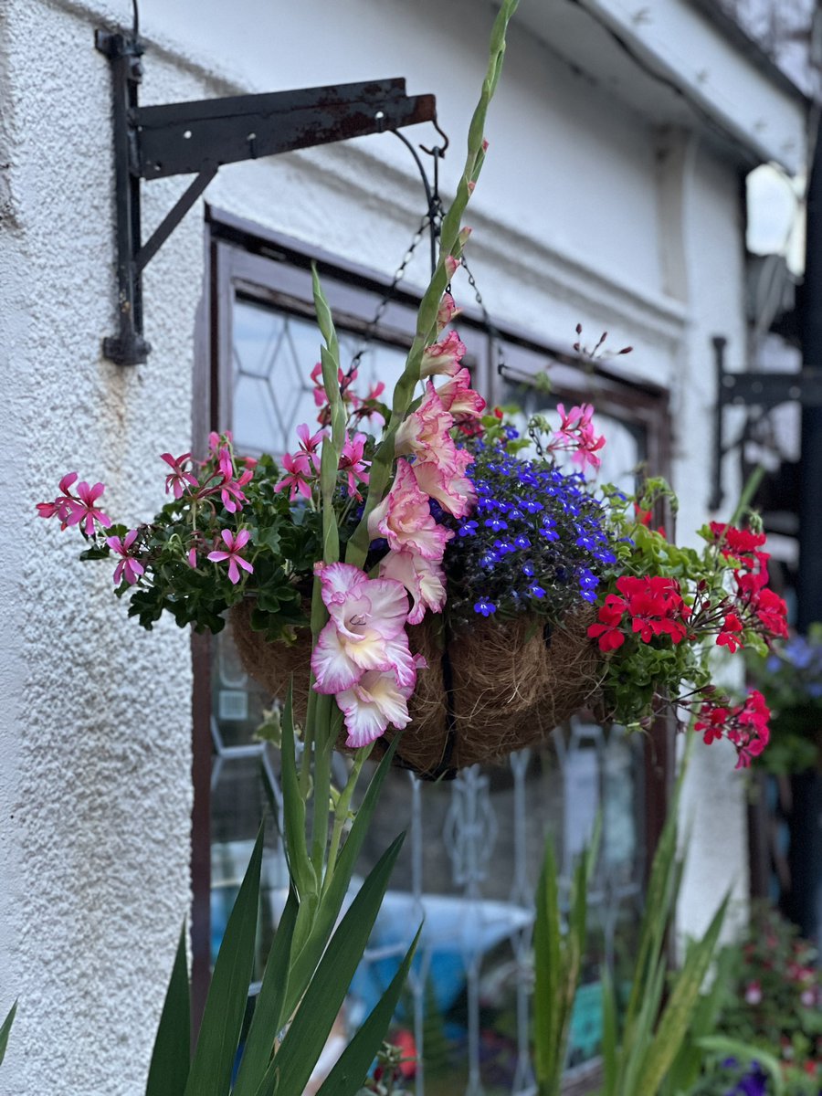 Pen_y_Bryn's tweet photo. Bloomin’ beautiful. Blodi brydferth🥰 🌼🌻🌷🌺🌸🥀🪷🌹☀️ #Flowers #Blodau #WindowBox 🪷#Summer #Haf #Llanfairfechan #Gladiolus #Cymru🏴#Wales https://t.co/q6Fe5WXYoN