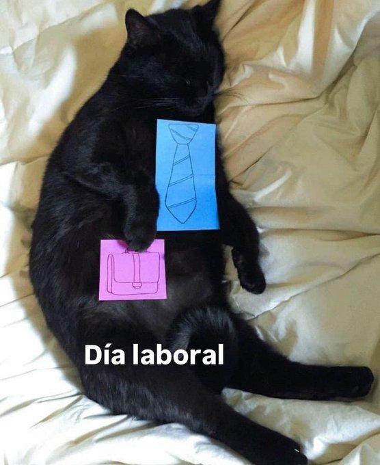 Nos vemos a las 4 p.m hora Colombia  See You today 16 p.m colombian time 💋💋 LINK BIO 💋💋 https://t.co<a href="/tag/model"class="tags"><span>#model</span></a><a href="/tag/sexy"class="tags"><span>#sexy</span></a><a href="/tag/latina"class="tags"><span>#latina</span></a><a href="/tag/xxx"class="tags"><span>#xxx</span></a>