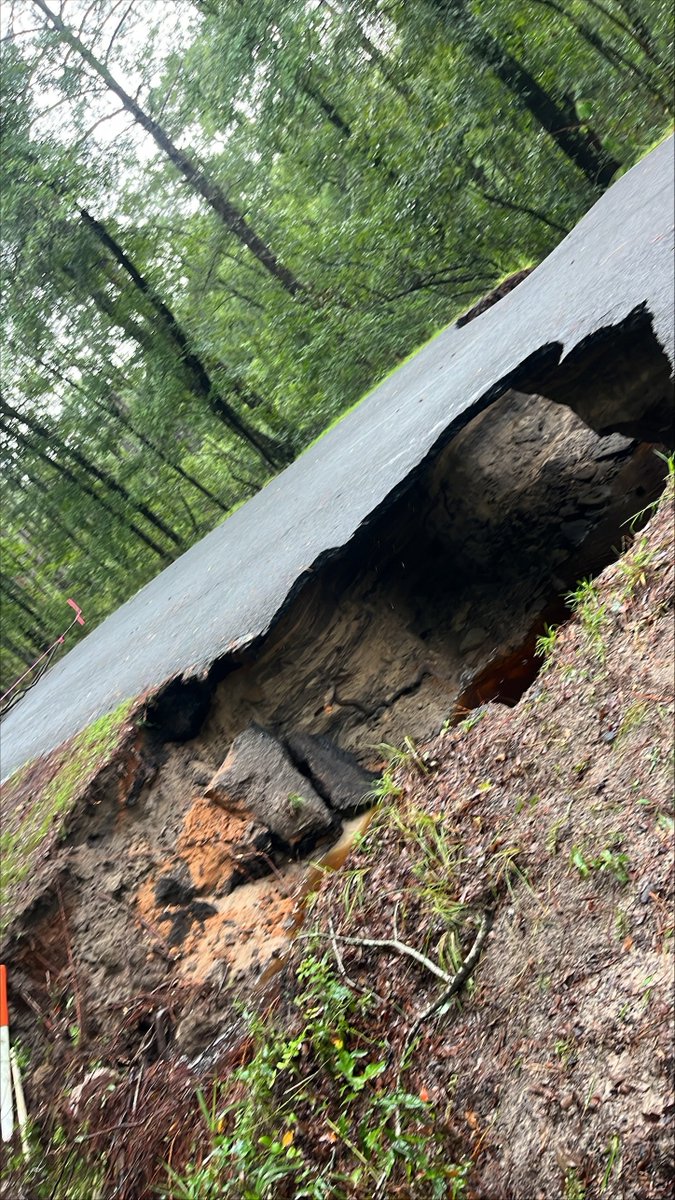 Michal Higdon (@michalhigdon) on Twitter photo Look at this sinkhole on Edward Road in Colleton Co (just outside of Walterboro).
<a href="/CarolineSpikes/">Caroline Spikes</a> and <a href="/meredithblairtv/">Meredith Blair</a> are out in the area surveying damage after severe rain and flooding from #Debby.
<a href="/Live5News/">Live5News</a> <a href="/NWSCharlestonSC/">NWS Charleston, SC</a> Look at this sinkhole on Edward Road in Colleton Co (just outside of Walterboro).
<a href="/CarolineSpikes/">Caroline Spikes</a> and <a href="/meredithblairtv/">Meredith Blair</a> are out in the area surveying damage after severe rain and flooding from #Debby.
<a href="/Live5News/">Live5News</a> <a href="/NWSCharlestonSC/">NWS Charleston, SC</a>