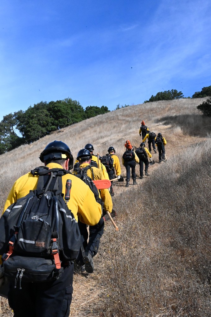 The Forestry and Fire Recruitment Program (FFRP) tweet media