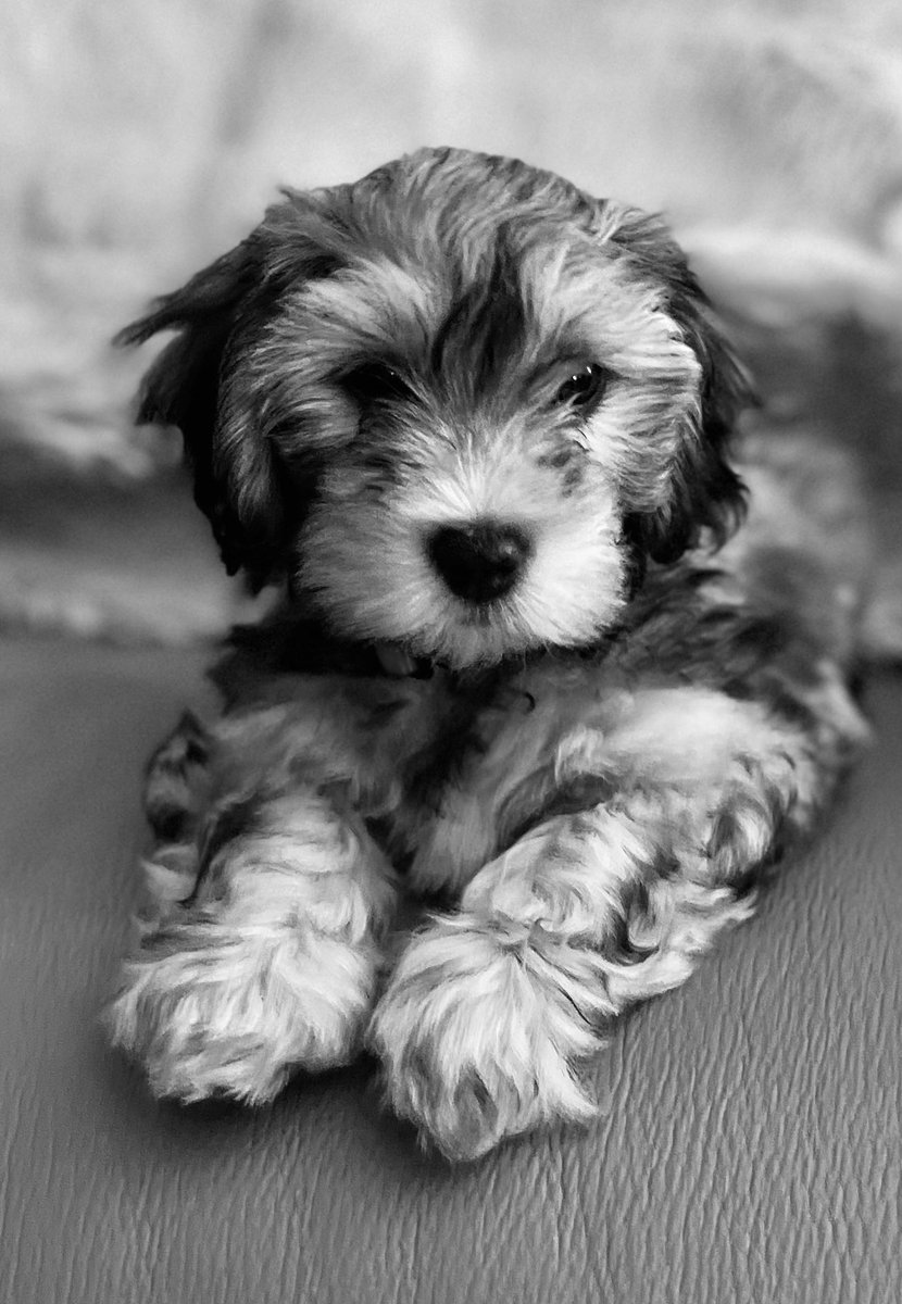 Hannah : HH Lifestyle Travel tweet media