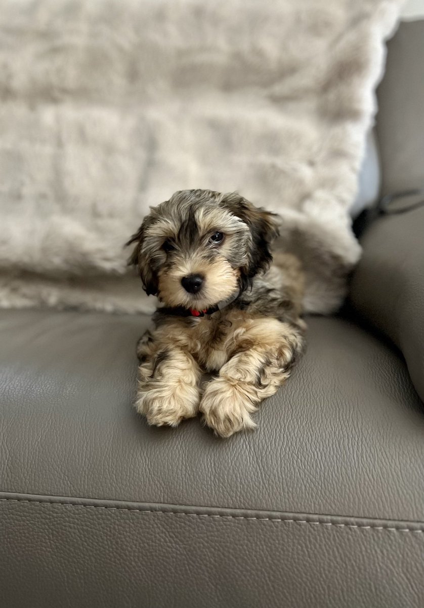 Hannah : HH Lifestyle Travel tweet media