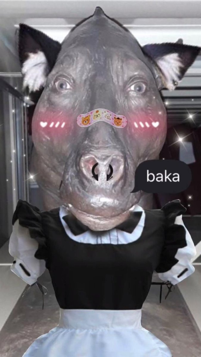 quiero amigar, fav y te caigo al dm