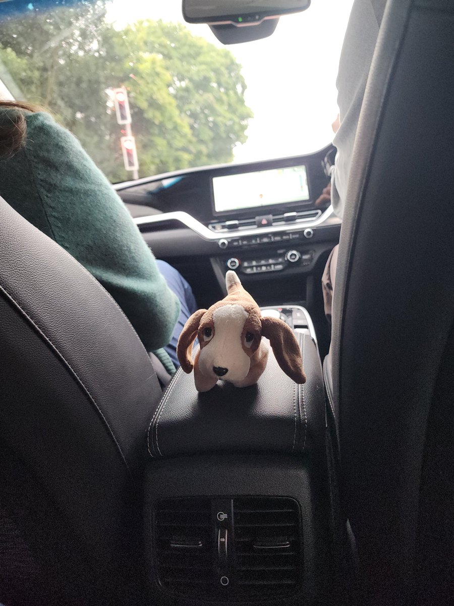 Off the Ground tweet media