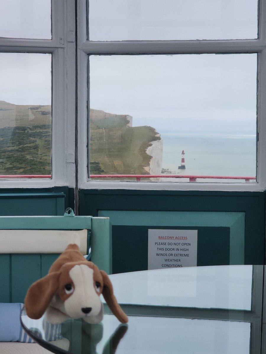 Off the Ground tweet media