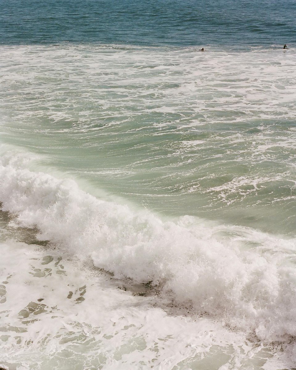 Richard Photo Lab tweet media