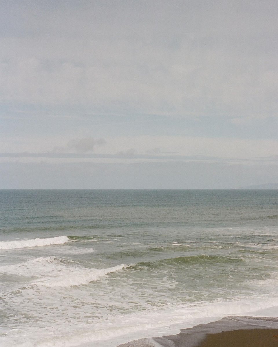 Richard Photo Lab tweet media