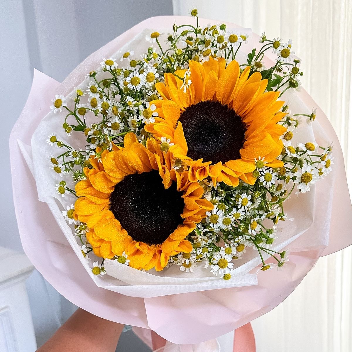 touch of sun in every petal