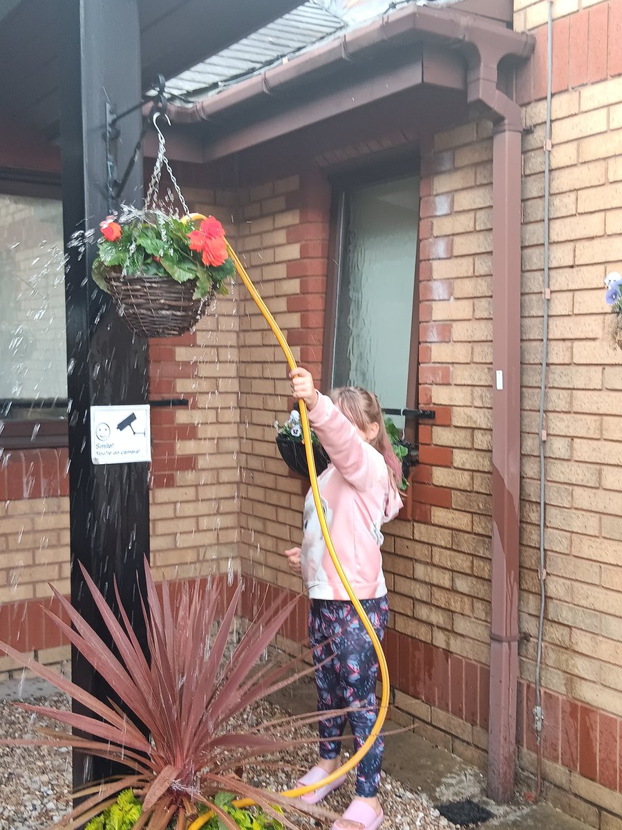 EmmaCla24925473's tweet photo. Lily_joy keeping the recoveryhub@leeds flowers in bloom by giving them a lovely drink https://t.co/s9yKxoSPzb
