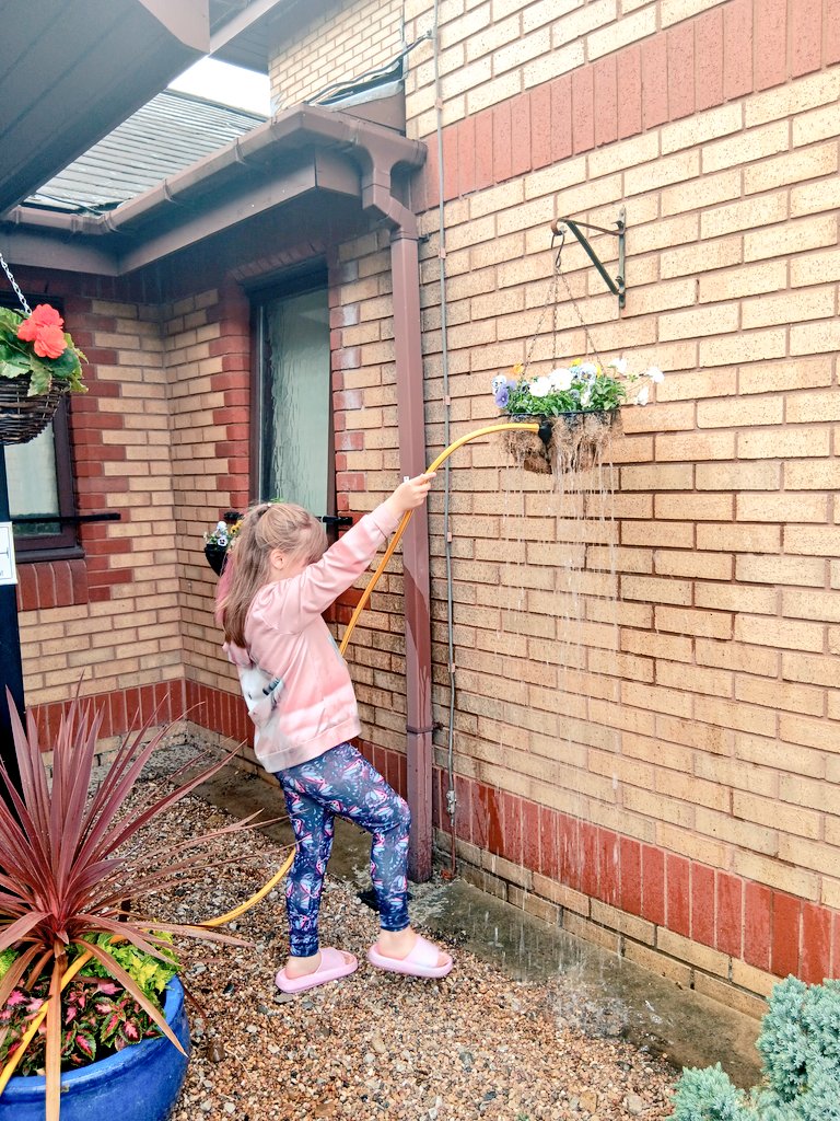 EmmaCla24925473's tweet photo. Lily_joy keeping the recoveryhub@leeds flowers in bloom by giving them a lovely drink https://t.co/s9yKxoSPzb