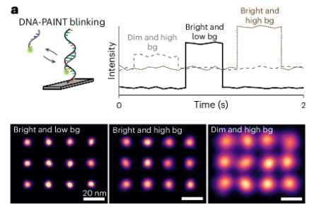 Nature Methods (@naturemethods) on Twitter photo Out today from the <a href="/JungmannLab/">Jungmann Lab</a>! A comprehensive comparison of how 18 different dyes perform in DNA-PAINT along with optimized guidance for dye selection and multiplexed imaging. nature.com/articles/s4159… Out today from the <a href="/JungmannLab/">Jungmann Lab</a>! A comprehensive comparison of how 18 different dyes perform in DNA-PAINT along with optimized guidance for dye selection and multiplexed imaging. nature.com/articles/s4159…