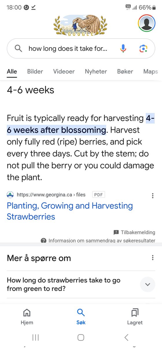 Looxiz's tweet photo. @sama Five strawberries, but the fifth is not ripe yet 🍓 GPT-5 confirmed within 4-6 weeks 🍓 https://t.co/mW9oBPC5Zo