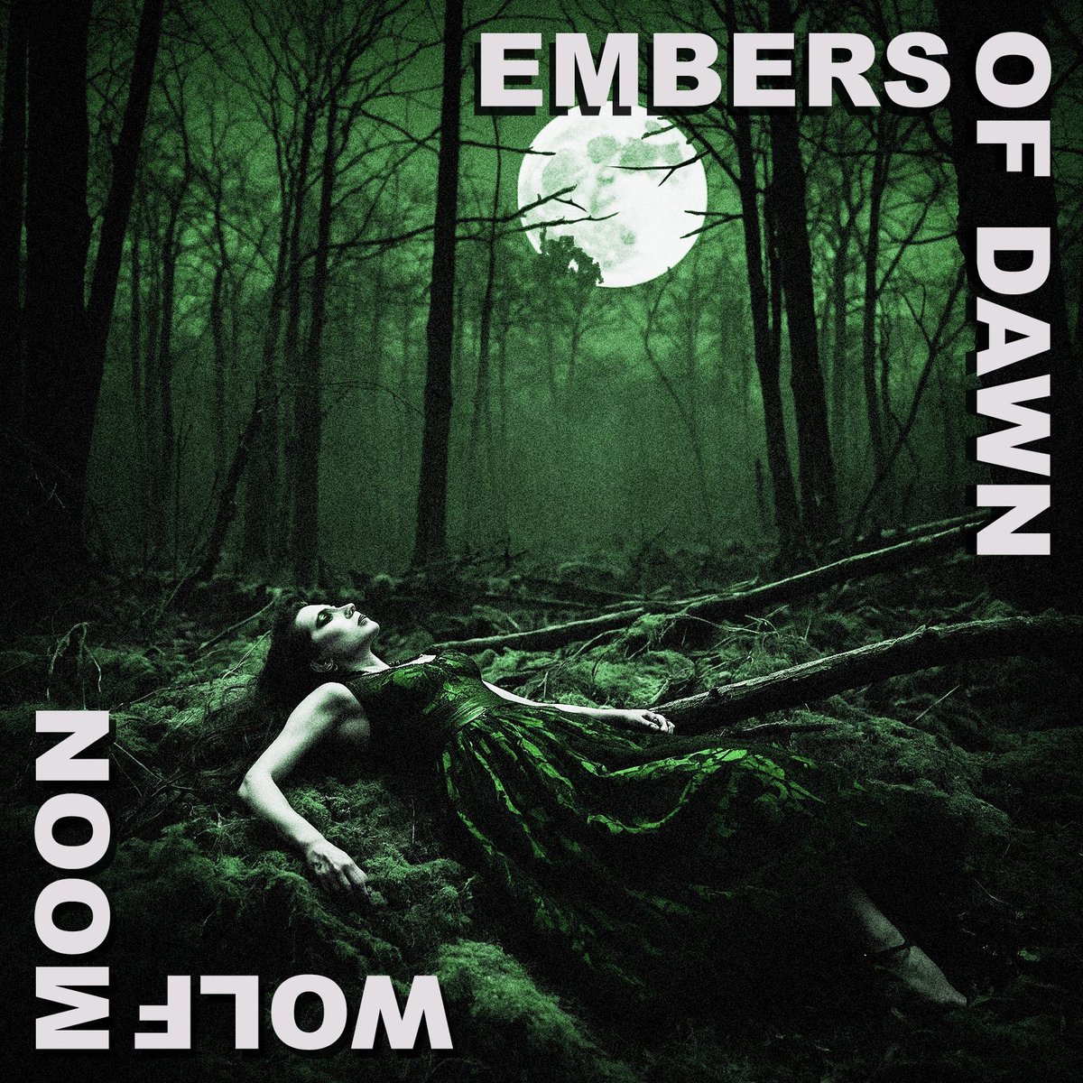 EmbersofDawn's tweet photo. New Release coming August 16th! https://t.co/iRjU1szVUS