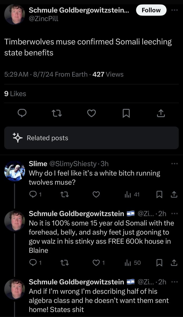 Timberwolves Muse tweet media