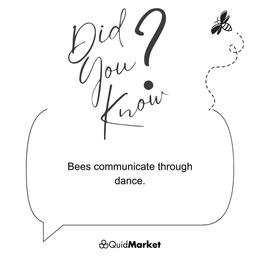 QuidMarket tweet media