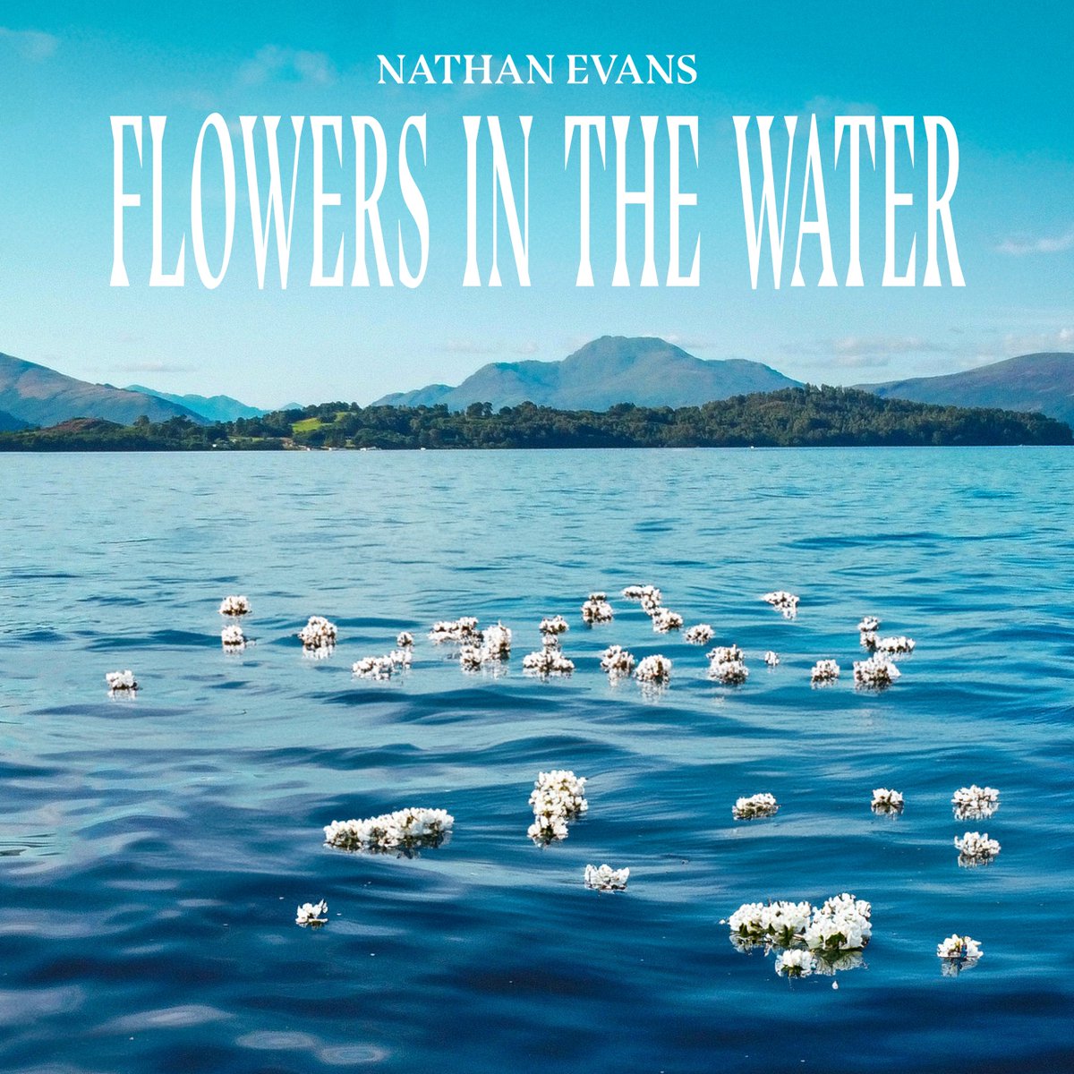 Nathan Evans tweet media