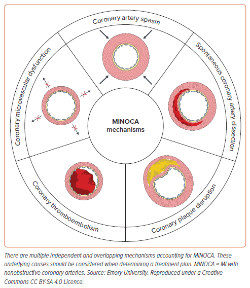 Amit Goyal MD MAS tweet media