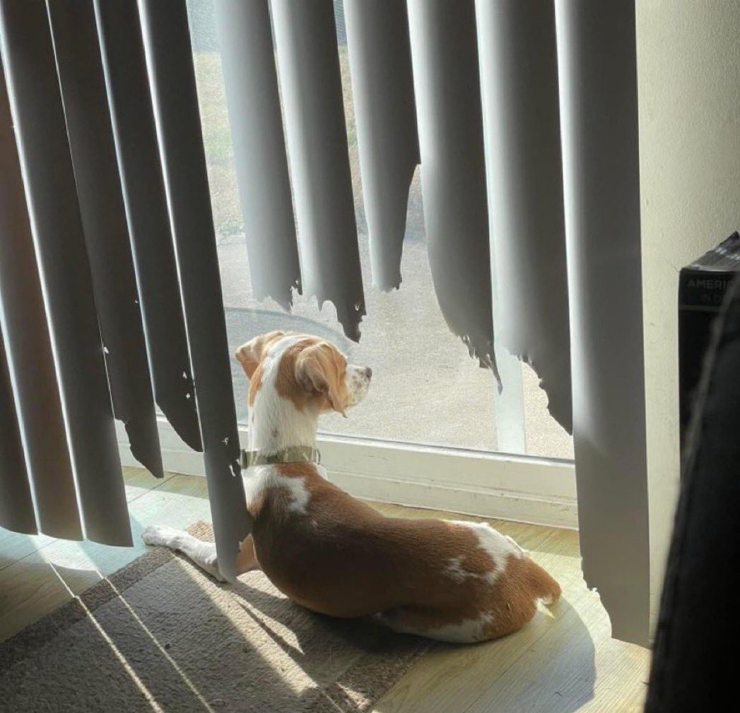 Si algo no te hace feliz quítalo de tu vida 🫶🏻