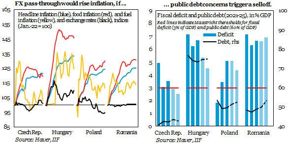 In this #IIF CEEMEA Views, we share our perspective on how central banks in the CEE-4 (#CzechRepublic , #Hungary, #Poland, and #Romania ) might adjust their policies into 2025 in light of current geopolitical and economic conditions. 

Full report: iif.com/Publications/I…